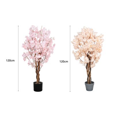 Yapay Akçaağaç Ağaç Bonsai Bitkiler Ağaçlar
